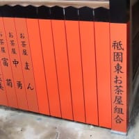 観亀稲荷神社 クローバーと猫