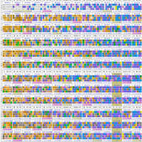２５０７２６：結果