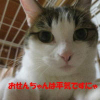 間一髪！