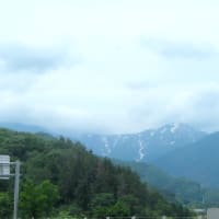 今年の初釣り・新潟K沢