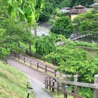 5月の事
