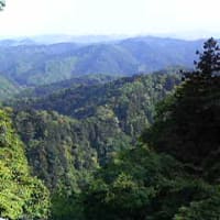 高尾山に行く
