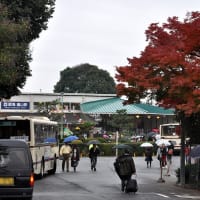 阪急嵐山駅 雨の紅葉
