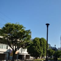 今日の博多３２６　【朝から暑い】
