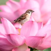 「感謝の心」