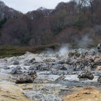 青森・北海道の撮影旅行その１６　（霊場恐山菩提寺から八戸へ）
