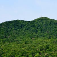 2025.06.14(土)AM07:05の藻岩山・平和祈念塔・手稲山・三角山・円山