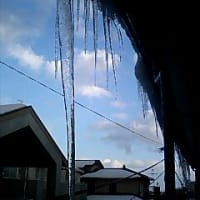 こたつの中の宇宙 Marco S Blog こたつの中の宇宙 Marco S Blog