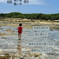 〜マヤ暦　K35 青い鷲・青い手・音9〜　GWは海洋公園を楽しもう