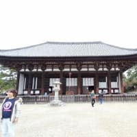 06/18奈良京都への旅-5（興福寺、）