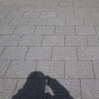 以前のさんぽ写真