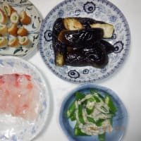 　久し振りの草刈りタップリ　収獲5種類カボチャ他　マダイと野菜料理