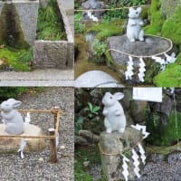 京都　亀岡　丹波七福神巡り１（東光寺　極楽寺　出雲大神宮）　２ニャン