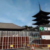 国宝　興福寺五重塔　　2024年4月から始まった五重塔の修復は着実に少しづつ進んでいる。５/11（10景）