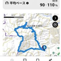 夏将軍様お手柔らかに
