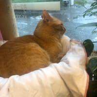 お客さんと会話