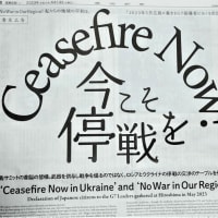今こそ停戦を！　Ceasefire Now!
