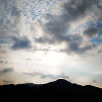 #毎日散歩コースから撮影