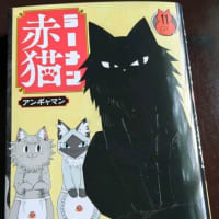6/16　読書❓　「ラーメン赤猫　１１」