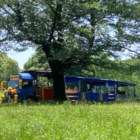 昭和記念公園を走りました。