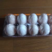たまごに遭遇～
