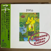 NO.328　『Lightning Blues Guitar』