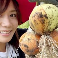 玉ねぎまつり