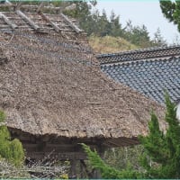 浄土寺・鐘楼門