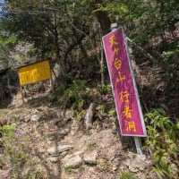 天下台山　2025.4.19　「22」
