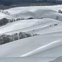 オホーツク海流氷　網走市