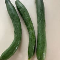 キンパとお蕎麦でおひとりさまご飯