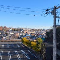 苗場化が進む郊外の住宅地