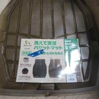 250612 Alleanza 洗えて清潔バケットマット