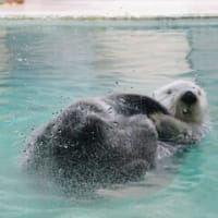 鳥羽水族館その①