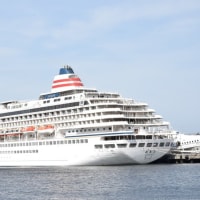 ビールと散歩と少しの運動　２０２０