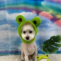 そろそろですか？