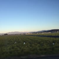 ふくい健康の森は晩秋の景色