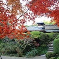 京都の紅葉名所　詩仙堂