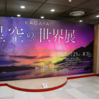 横浜、そごう美術館で『KAGAYA  星空の世界展』見ました