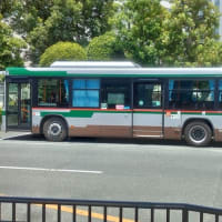 遠州鉄道80周年記念塗装バス