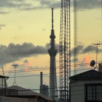 2025/7/13の夕焼け