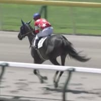 ルージュアベリア崖っぷちからの勝利
