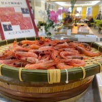 おい追い老い