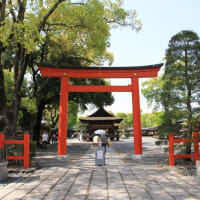 引っ越し先　はてなブログ
