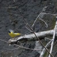 子育て応援隊は大忙し