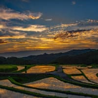 棚田の夕景
