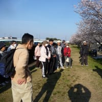 ４月１４日（日）は、築屋敷の桜並木で、樹木医・野島幸一郎さんにお話をしていただきます