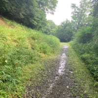 東京100kmチャレンジ