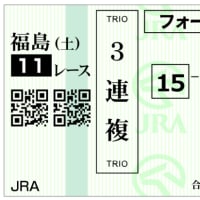 第６１回函館記念・検討
