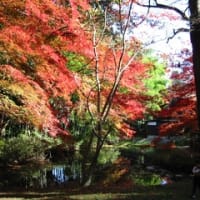 思い出写真館 ２・東北の旅